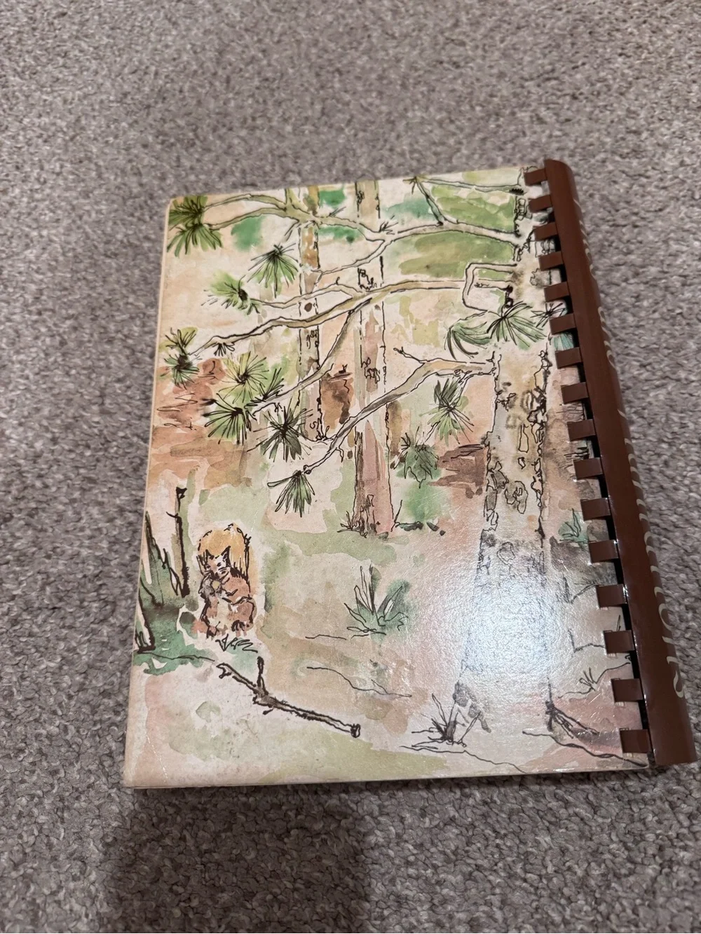 Pines and Plantations Cookbook vintage georgia- Brown & Green Cover